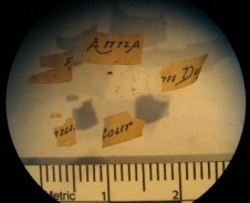 Inscribed paper fragments being examined under the microscope