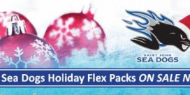 Sea Dogs Holiday Flex Packs On Sale Now