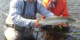 Miramichi Fishing Report for Thursday, August 17, 2017