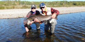 Miramichi Fishing Report for Thursday, October 12, 2017