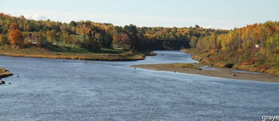 Miramichi Fishing Report for Thursday, October 12, 2017