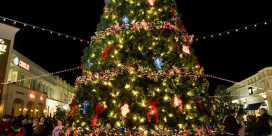 31st Annual Mayor & Council Christmas Tree Lighting