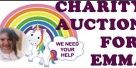 Charity Auction for Emma Leavitt